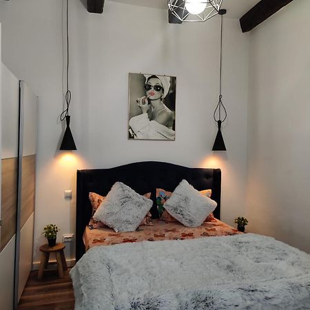 New Residence ブラショフ エクステリア 写真