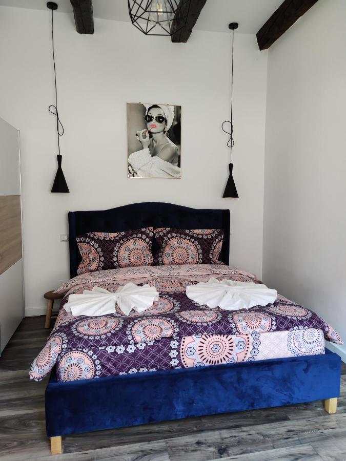 New Residence ブラショフ エクステリア 写真